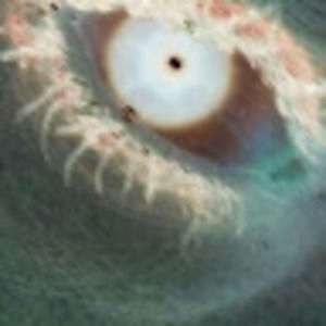 Meet your Posher, Katrina